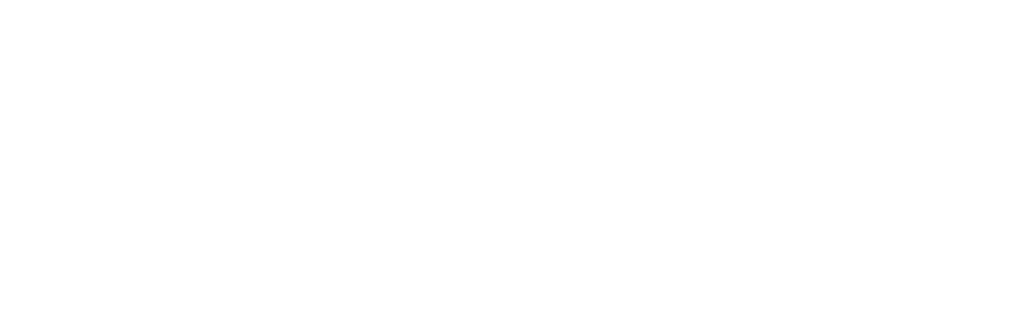 logo pigoots